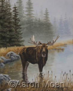 Moose by Aaron Moen