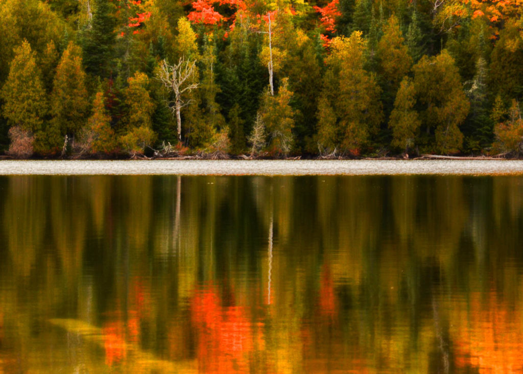 fall-colors