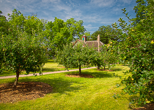 LeDuc Apple Orchard