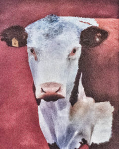 painting of cow